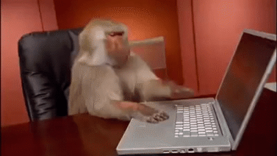 Disappointed Monkey Checking Laptop Work GIF