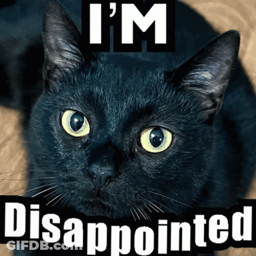 Disappointment I'm Disappointed Black Cat GIF