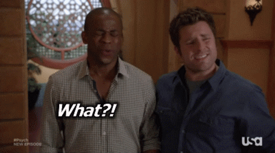 Disbelief Shawn Spencer Burton Guster GIF