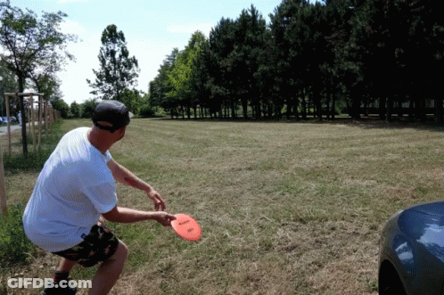 Disc Golf Throw GIF