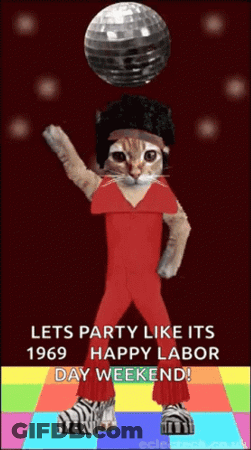 Disco Cat Good Morning Happy Labor Day GIF