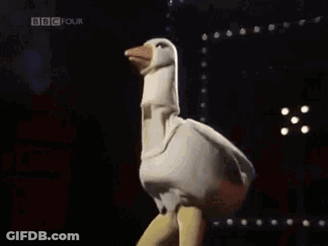 Disco Dancing Girls Duck Moves GIF