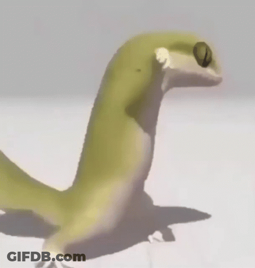 Disco Party Step Of Dancing Lizard GIF