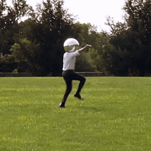 Discoholic Disco Ball Grass GIF