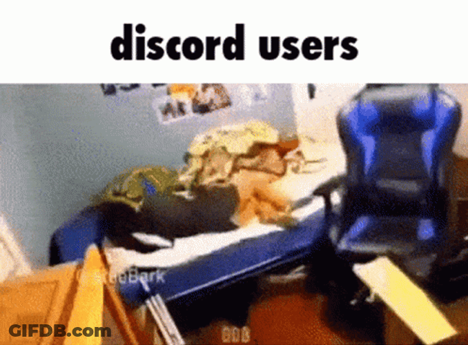 Discord Crash Users Panicking GIF