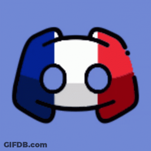 Discord Icon With French Flag GIF