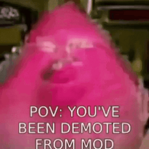 Discord Mod Demoted GIF