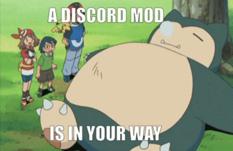 Discord Mod In The Way GIF