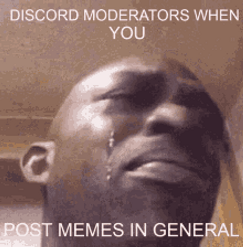 Discord Moderators Posting Memes Reaction GIF