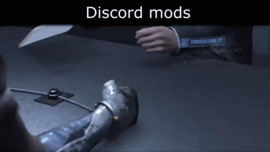 Discord Mods 28 Warnings GIF