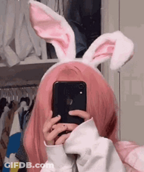 Discord Pfp Bunny Girl GIF