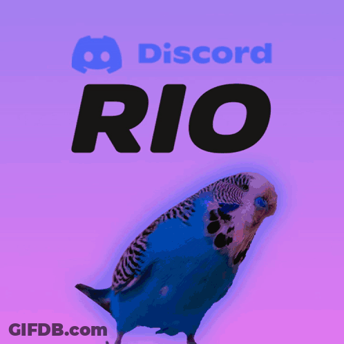 Discord Rio Poster Blue Parakeet GIF