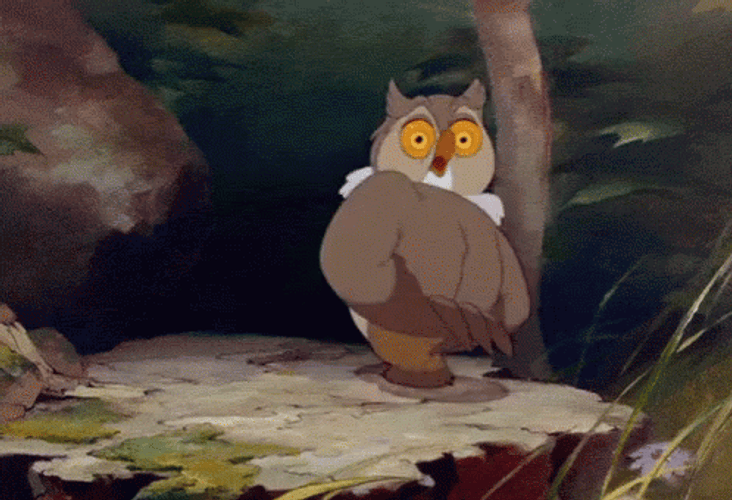 Disney Bambi Friend Owl Walking In Circle GIF