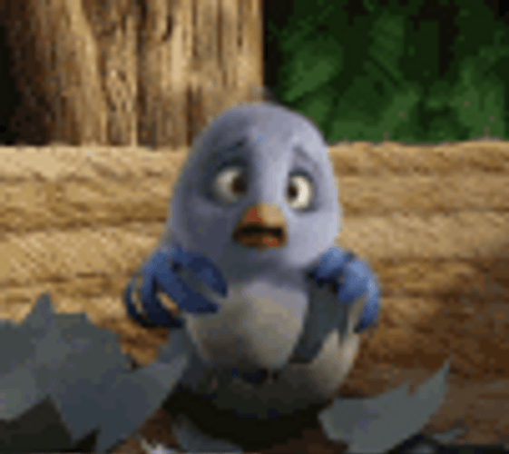 Disney Bird Hiding Out GIF