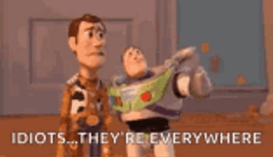 Disney Buzz Lightyear Woody Stupid People Everywhere GIF