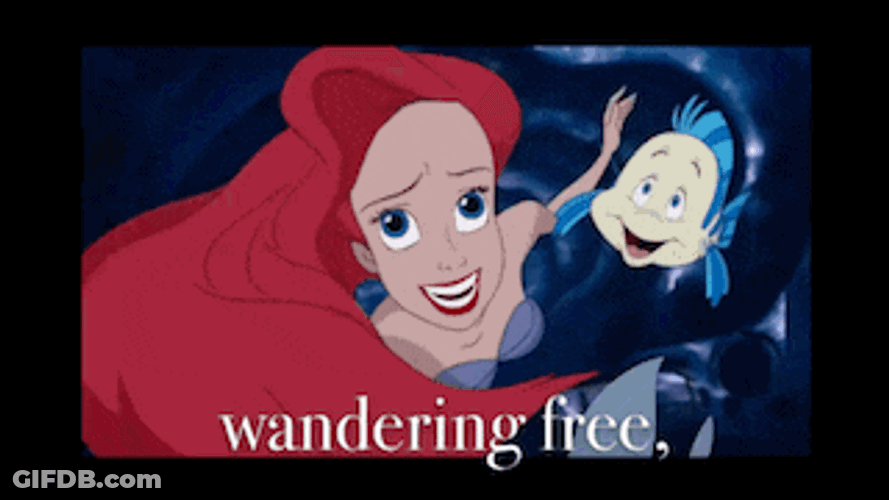 Disney Disney Princess GIF