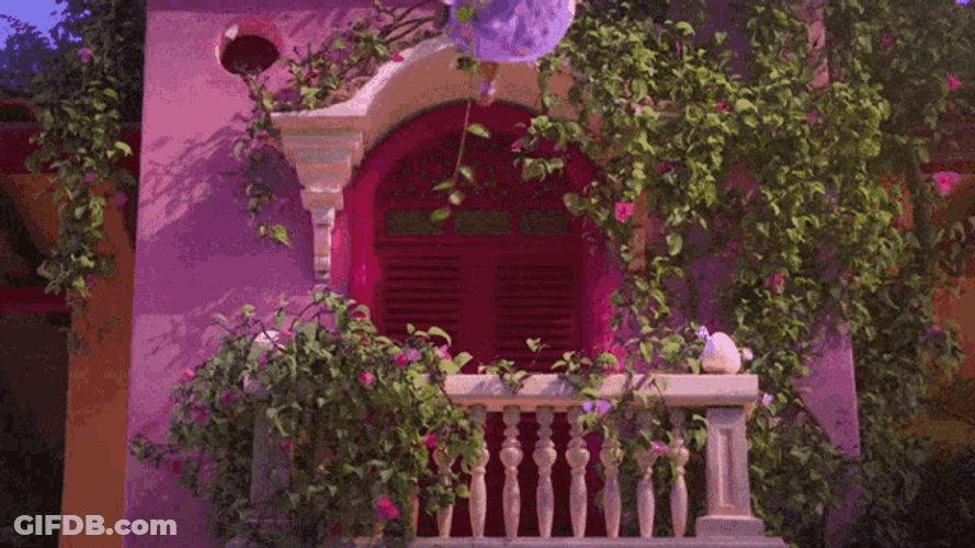 Disney Encanto GIF
