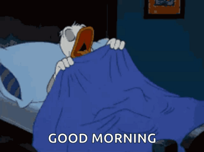 Disney Good Morning Donald Duck Sleeping GIF