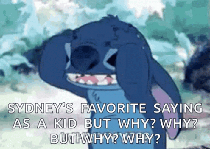 Disney Lilo And Stitch But Why GIF
