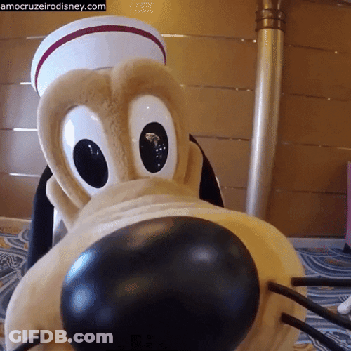 Disney Pluto Mascot Close Up Shot GIF