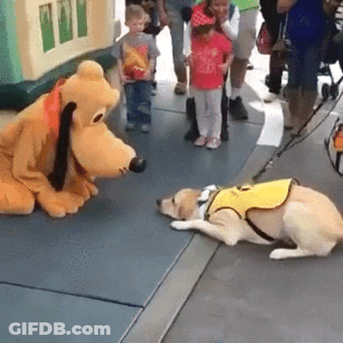 Disney Pluto Talking Dog GIF