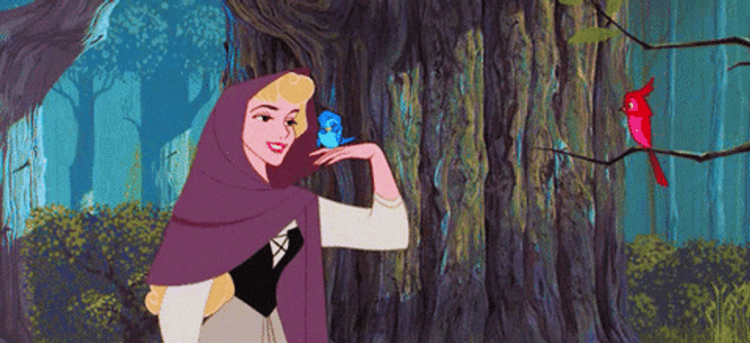 Disney Princess Aurora Singing With Birds GIF