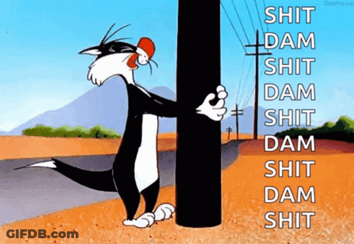 Disney Sylvester Bangs Head Against Wall GIF