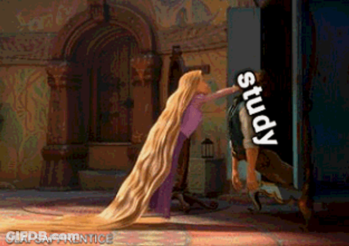Disney Tangled Rapunzel Study Finals Meme GIF