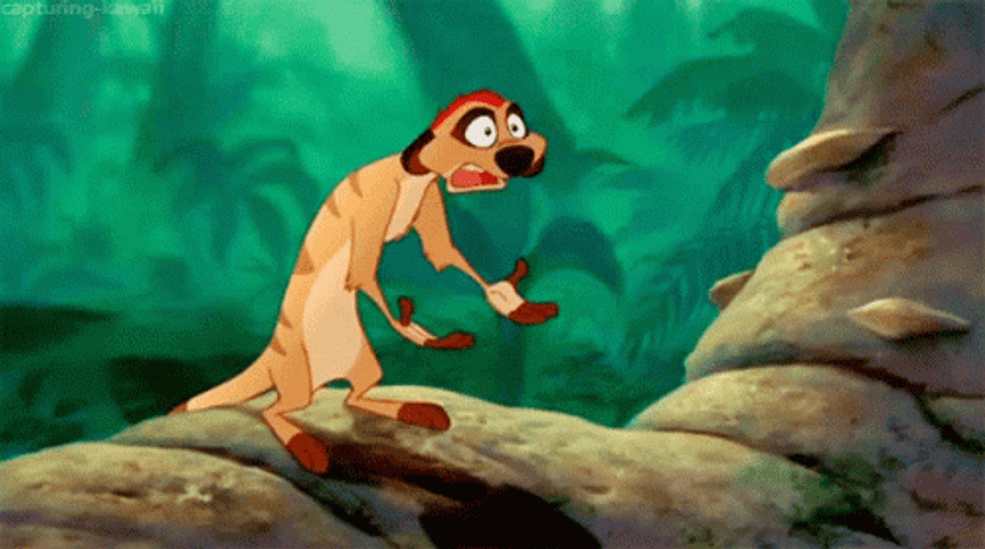 Disney The Lion King Timone But Why Reaction GIF