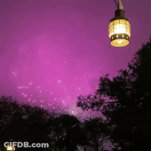 Disney World Incredible Fireworks Sky Show GIF
