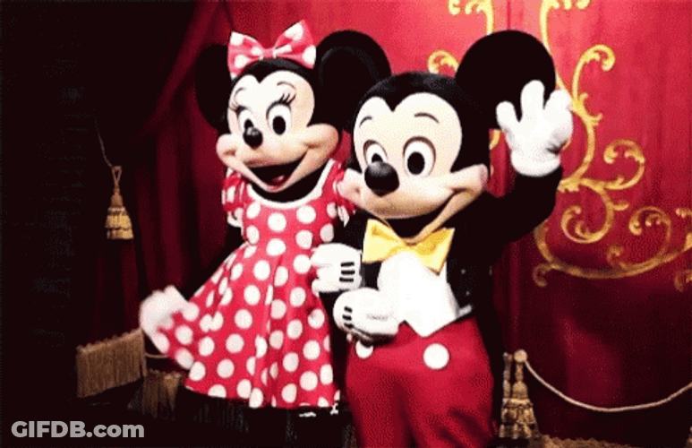 Disney World Minnie And Mickey Mouse GIF