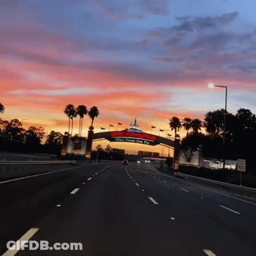 Disney World Road Arc GIF