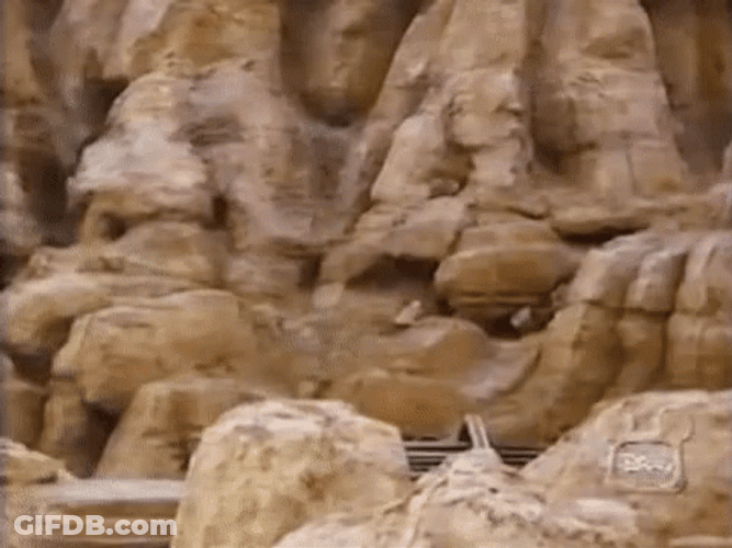 Disneyland GIF