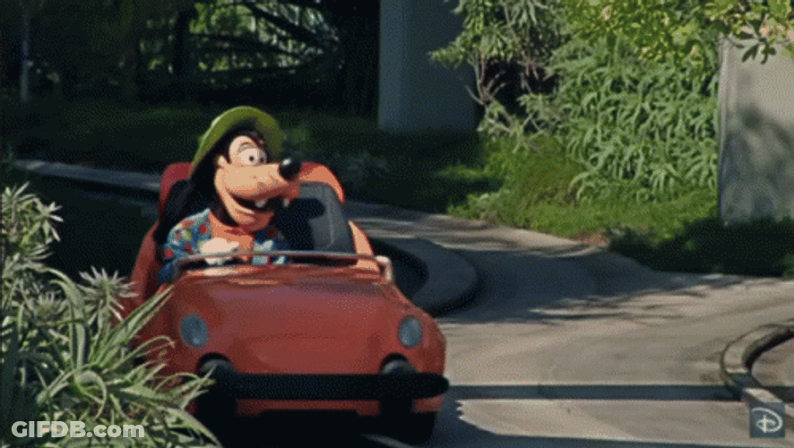 Disneyland GIF