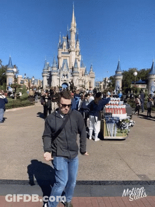 Disneyland GIF