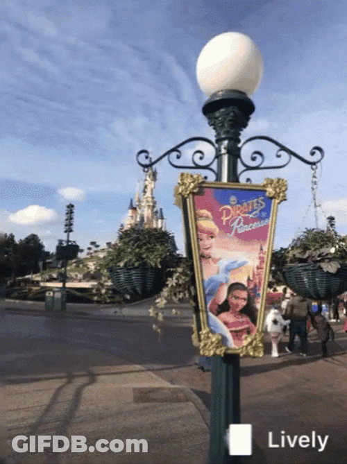 Disneyland GIF