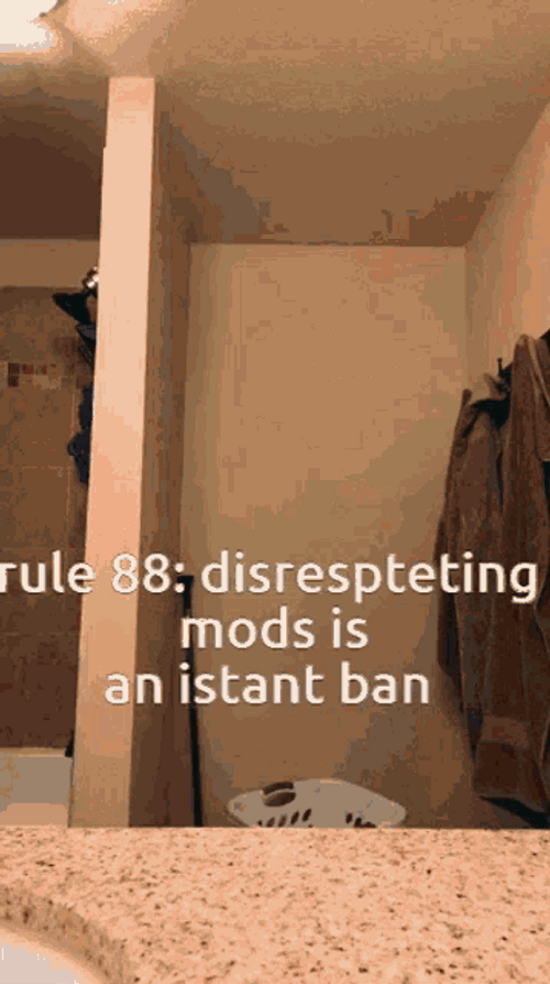 Disrespecting Mods Instant Ban GIF