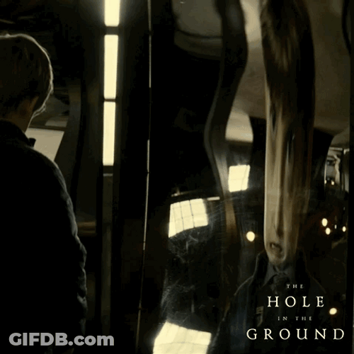 Dissorted Mirror Holes Movie GIF