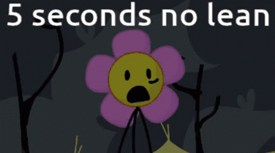 Distress Sunflower No Lean GIF