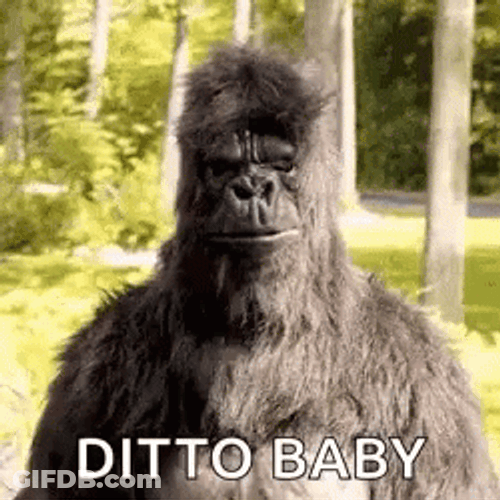 Ditto Baby Thumbs Up Funny Gorilla Meme GIF
