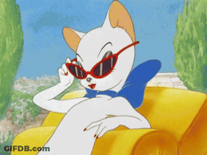 Diva Cat In Tom And Jerry GIF
