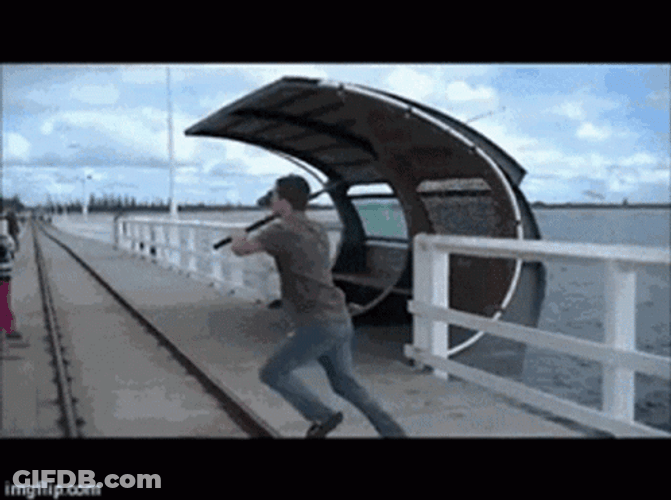 Diving Funny Fishing GIF