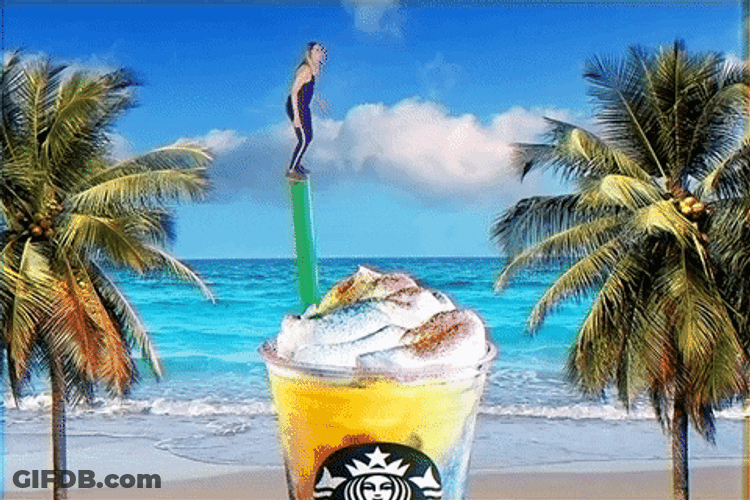 Diving Into Starbucks Whipped Cream GIF