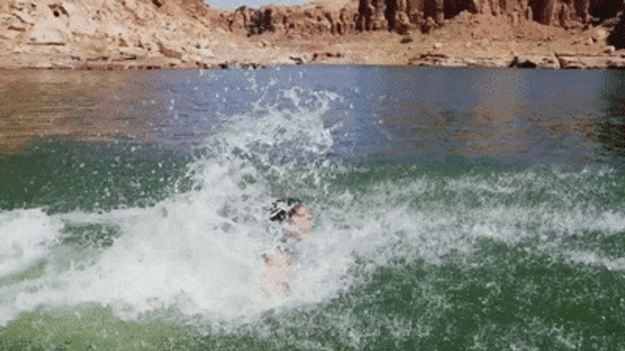 Diving Like The Whale GIF