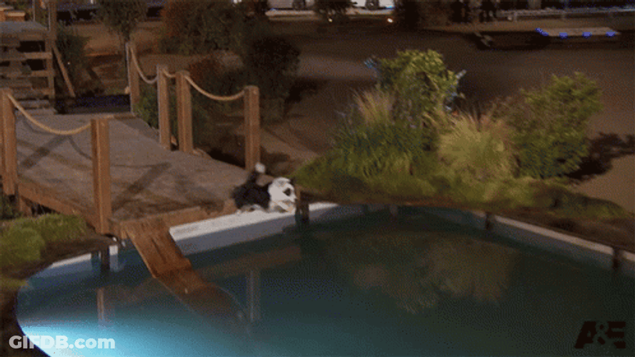Diving On A Moving Water GIF