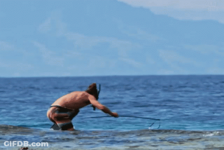 Diving Spear Fishing GIF