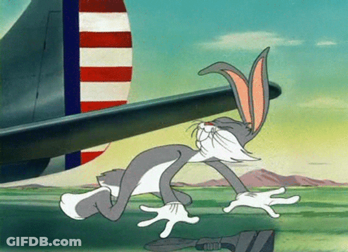 Dizzy Bugs Bunny Florida GIF
