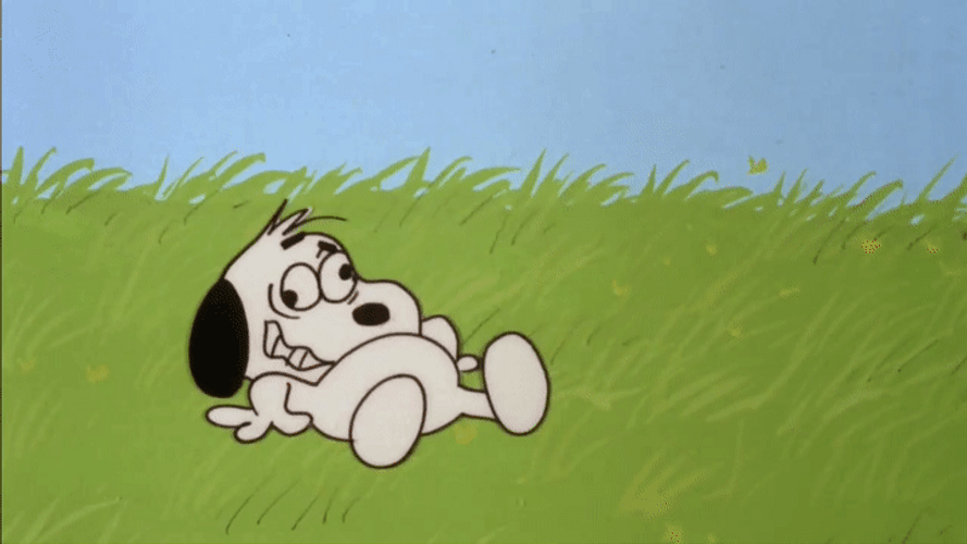 Dizzy Dog Got Knocked Out GIF
