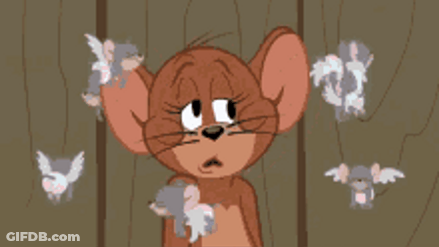 Dizzy Jerry The Mouse GIF