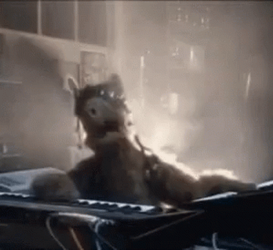 DJ Alf Playing Piano GIF